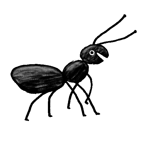 A walking ant animation